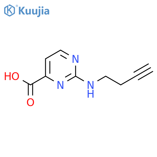 2-(but-3-yn-1-yl)aminopyrimidine-4-carboxylic acid structure
