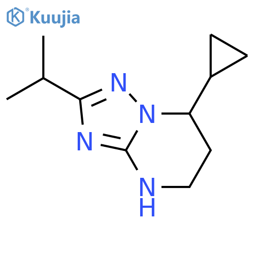 7-cyclopropyl-2-(propan-2-yl)-4H,5H,6H,7H-1,2,4triazolo1,5-apyrimidine structure