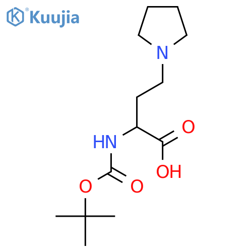 2-{(tert-butoxy)carbonylamino}-4-(pyrrolidin-1-yl)butanoic acid structure