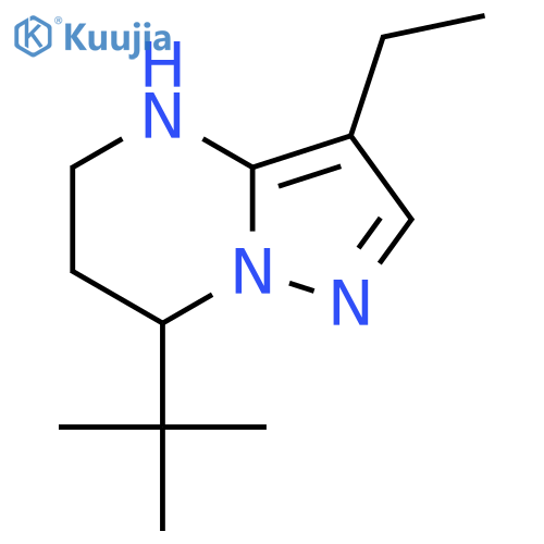 7-tert-butyl-3-ethyl-4H,5H,6H,7H-pyrazolo1,5-apyrimidine structure