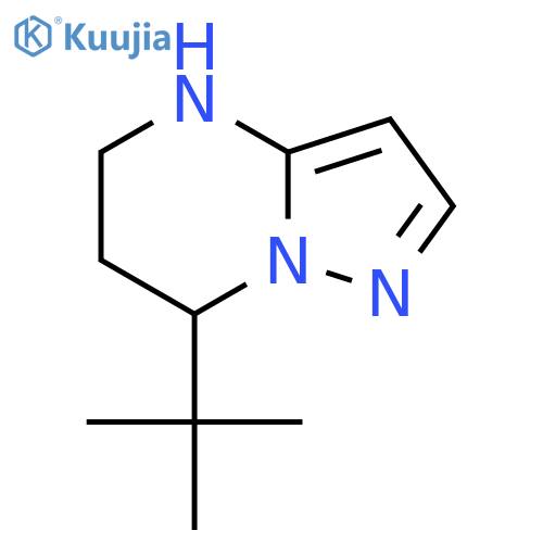 7-tert-butyl-4H,5H,6H,7H-pyrazolo1,5-apyrimidine structure