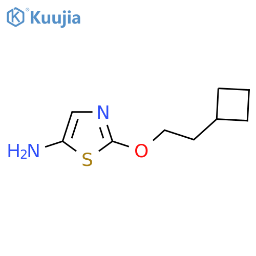 2-(2-cyclobutylethoxy)-1,3-thiazol-5-amine structure