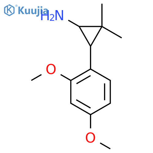 3-(2,4-dimethoxyphenyl)-2,2-dimethylcyclopropan-1-amine structure