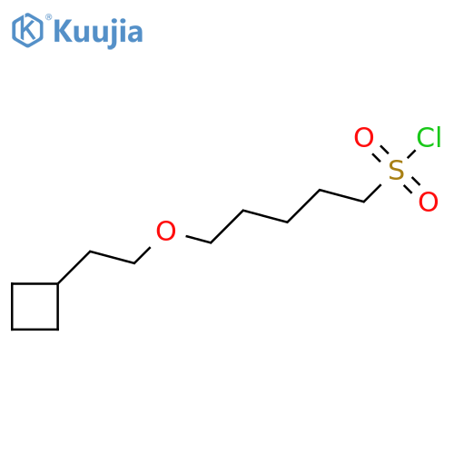 5-(2-cyclobutylethoxy)pentane-1-sulfonyl chloride structure