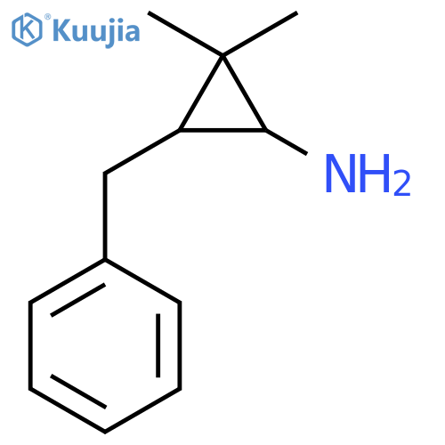 3-benzyl-2,2-dimethylcyclopropan-1-amine structure