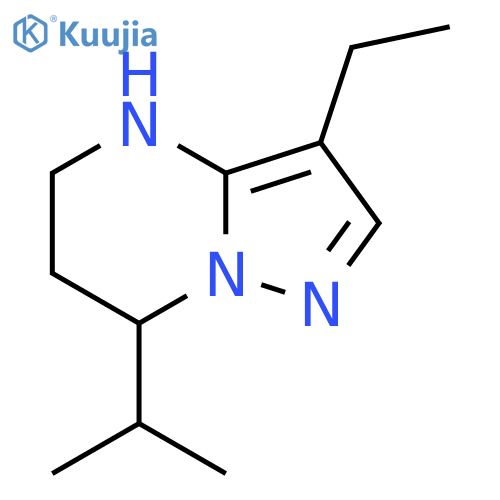 3-ethyl-7-(propan-2-yl)-4H,5H,6H,7H-pyrazolo1,5-apyrimidine structure