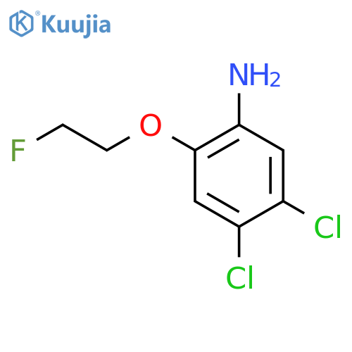 4,5-Dichloro-2-(2-fluoroethoxy)aniline structure