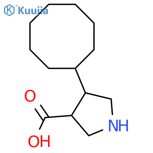 4-cyclooctylpyrrolidine-3-carboxylic acid structure