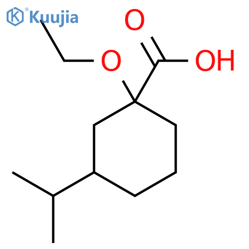 1-ethoxy-3-(propan-2-yl)cyclohexane-1-carboxylic acid structure