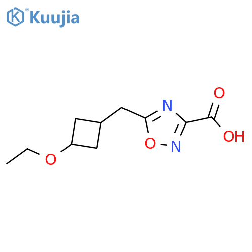 5-(3-ethoxycyclobutyl)methyl-1,2,4-oxadiazole-3-carboxylic acid structure