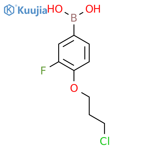 (4-(3-Chloropropoxy)-3-fluorophenyl)boronic acid structure
