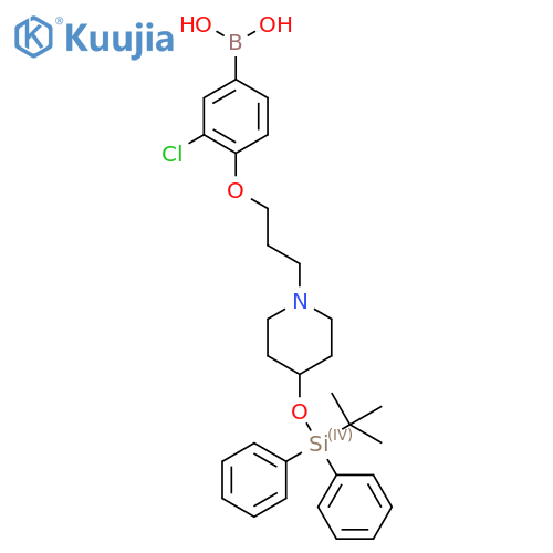 (4-(3-(4-((Tert-butyldiphenylsilyl)oxy)piperidin-1-yl)propoxy)-3-chlorophenyl)boronic acid structure