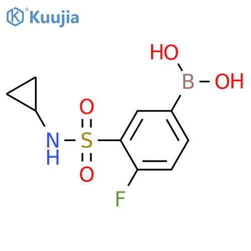 (3-(N-cyclopropylsulfamoyl)-4-methylphenyl)boronic acid structure
