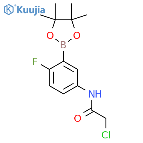 2-Chloro-N-(4-fluoro-3-(4,4,5,5-tetramethyl-1,3,2-dioxaborolan-2-yl)phenyl)acetamide structure