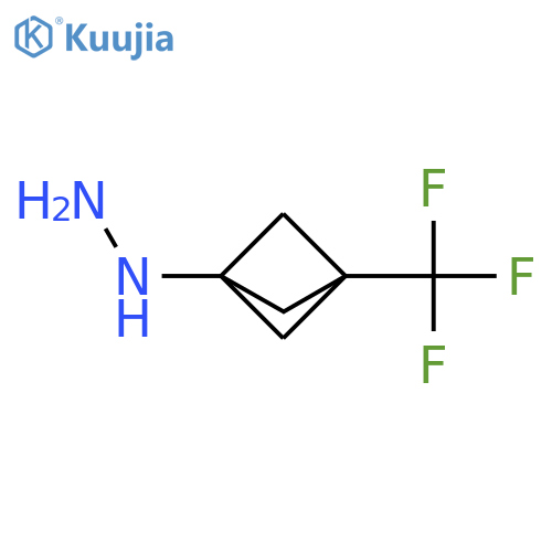 [3-(trifluoromethyl)bicyclo[1.1.1]pentan-1-yl]hydrazine structure