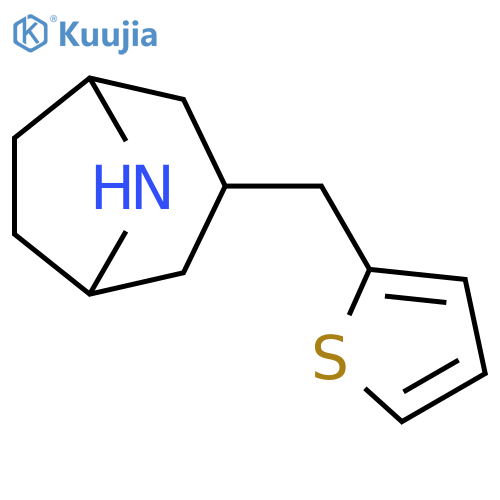 3-(thiophen-2-yl)methyl-8-azabicyclo3.2.1octane structure