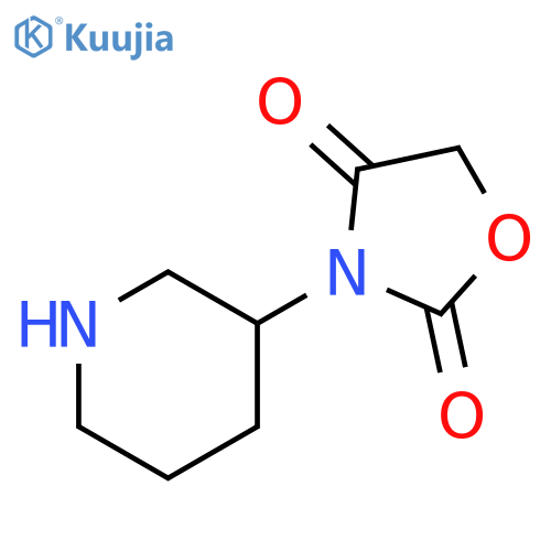 3-(piperidin-3-yl)-1,3-oxazolidine-2,4-dione structure