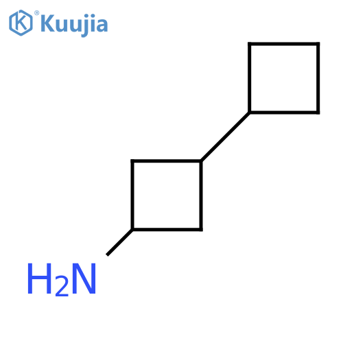 3-cyclobutylcyclobutan-1-amine structure