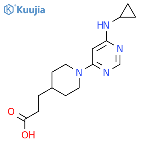 3-{1-[6-(cyclopropylamino)pyrimidin-4-yl]piperidin-4-yl}propanoic acid structure