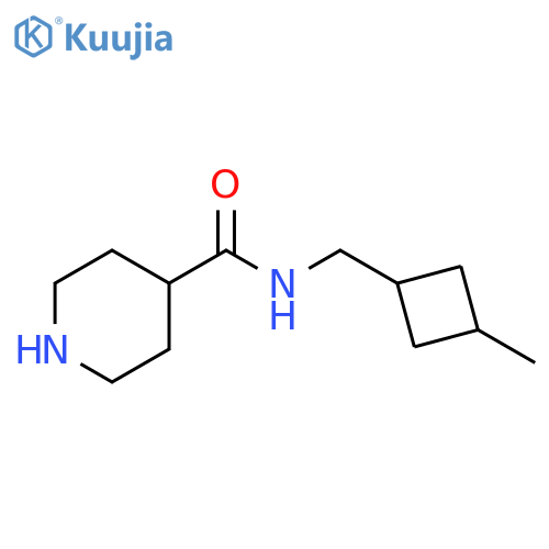 Piperidine-4-carboxylic acid (3-methyl-cyclobutylmethyl)-amide structure