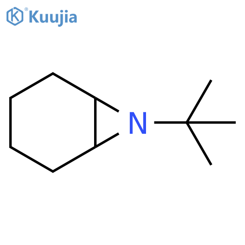 7-tert-Butyl-7-azabicyclo[4.1.0]heptane structure