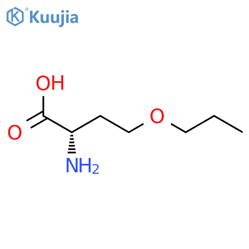 2-amino-4-propoxybutanoic acid structure