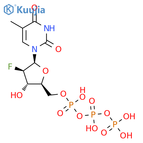 Clevudine triphosphate structure