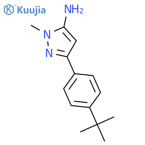 3-(4-tert-butylphenyl)-1-methyl-1H-pyrazol-5-amine structure