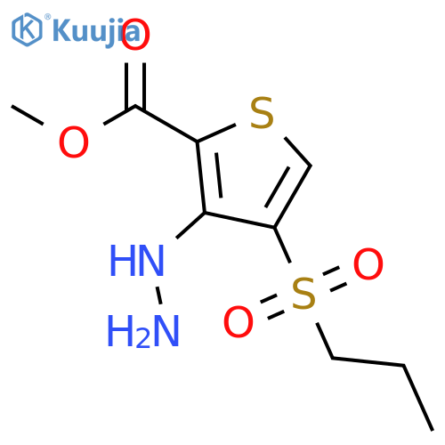 Methyl 3-hydrazinyl-4-(propylsulfonyl)thiophene-2-carboxylate structure