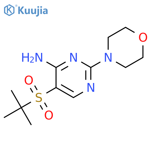 5-(tert-Butylsulfonyl)-2-morpholinopyrimidin-4-amine structure