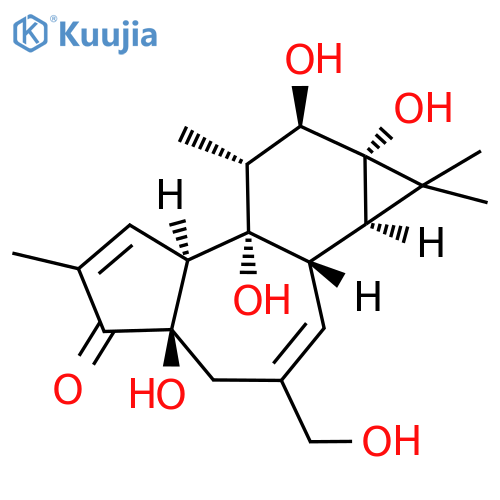 Phorbol structure