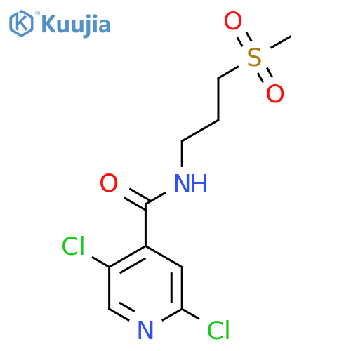 2,5-dichloro-N-(3-methanesulfonylpropyl)pyridine-4-carboxamide structure