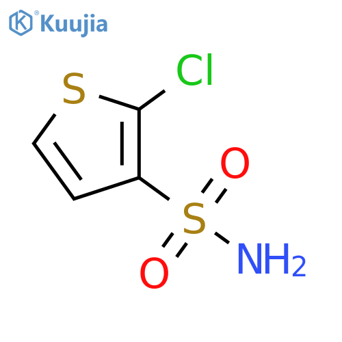 2-chlorothiophene-3-sulfonamide structure