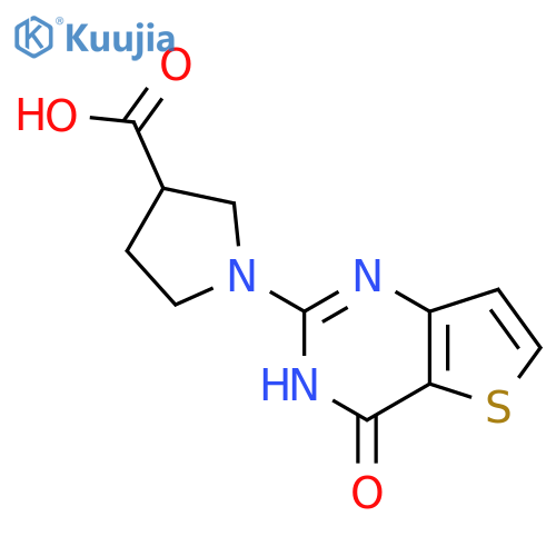 1-(4-Oxo-3,4-dihydrothieno[3,2-d]pyrimidin-2-yl)pyrrolidine-3-carboxylic acid structure