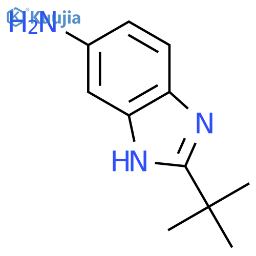 2-tert-butyl-1H-1,3-benzodiazol-5-amine structure