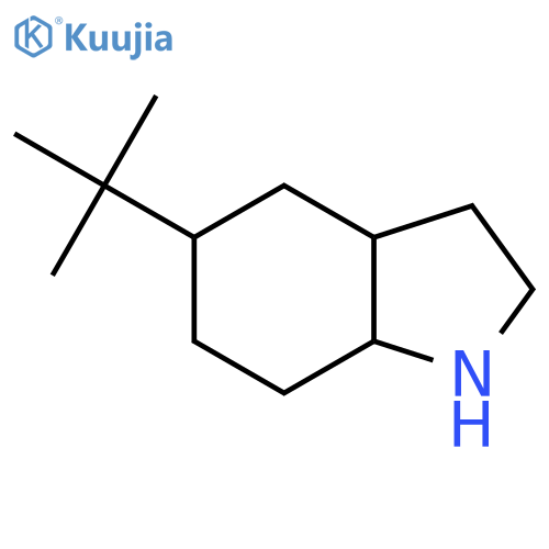 5-tert-butyl-octahydro-1H-indole structure