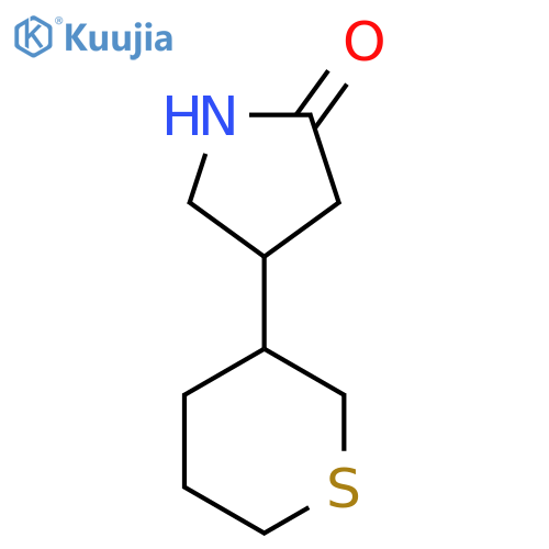 4-(thian-3-yl)pyrrolidin-2-one structure
