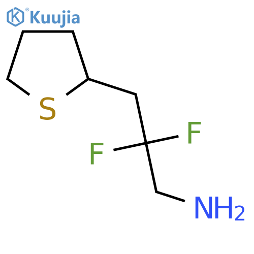 2,2-difluoro-3-(thiolan-2-yl)propan-1-amine structure