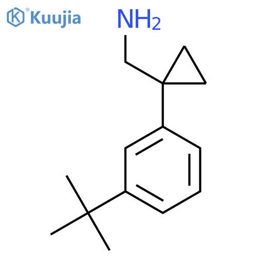 1-(3-tert-butylphenyl)cyclopropylmethanamine structure