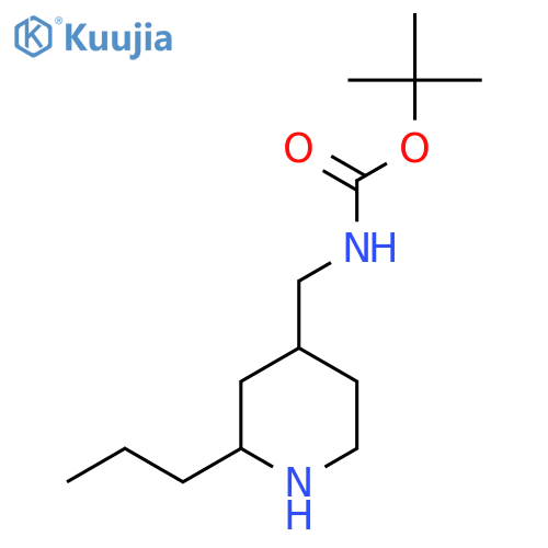 tert-butyl N-(2-propylpiperidin-4-yl)methylcarbamate structure