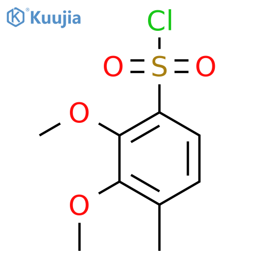 2,3-Dimethoxy-4-methylbenzene-1-sulfonyl chloride structure
