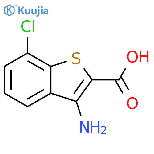 3-amino-7-chloro-1-benzothiophene-2-carboxylic acid structure