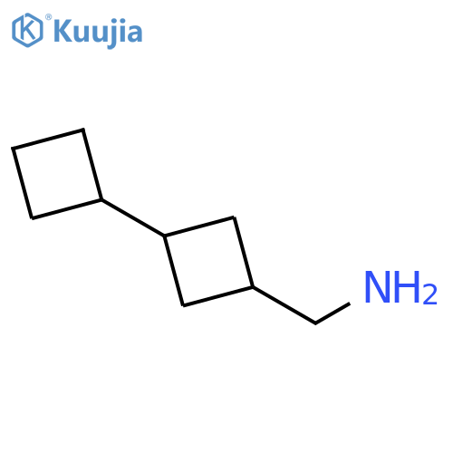 [1,1'-Bicyclobutyl]-3-methanamine structure