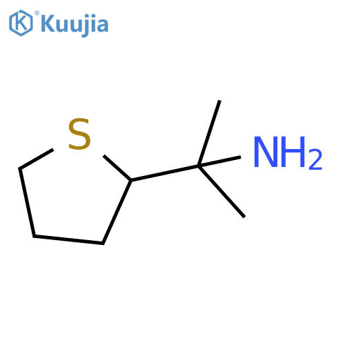 2-(thiolan-2-yl)propan-2-amine structure