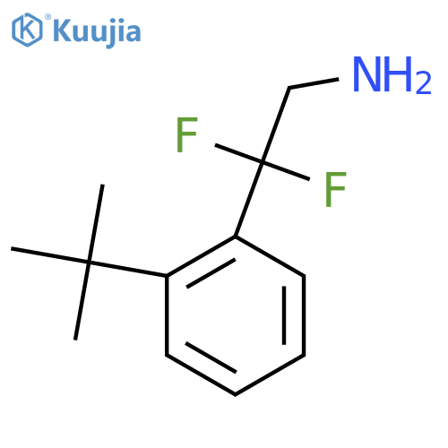 2-(2-tert-butylphenyl)-2,2-difluoroethan-1-amine structure