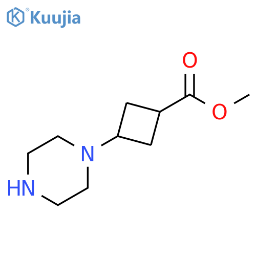 methyl 3-(piperazin-1-yl)cyclobutane-1-carboxylate structure