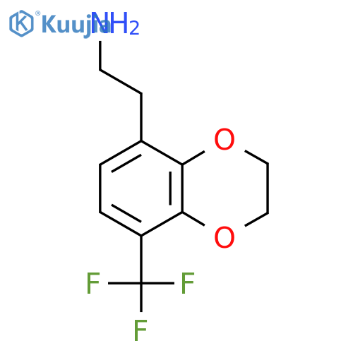 2-[8-(Trifluoromethyl)-2,3-dihydro-1,4-benzodioxin-5-yl]ethan-1-amine structure