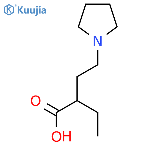 2-ethyl-4-(pyrrolidin-1-yl)butanoic acid structure