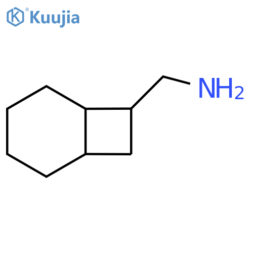 Bicyclo[4.2.0]octan-7-ylmethanamine structure