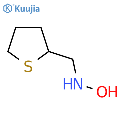 N-(thiolan-2-yl)methylhydroxylamine structure